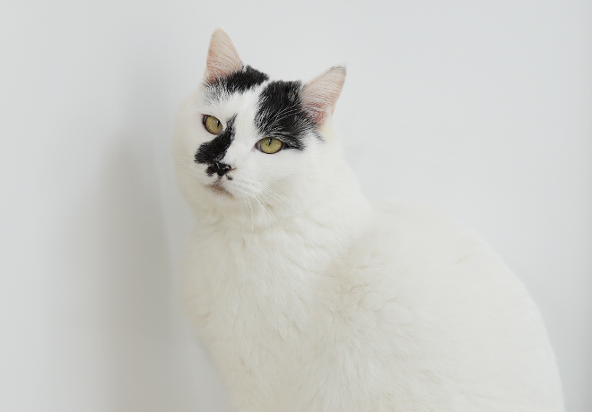 차분한 다정함을 가진 ‘싱싱이’