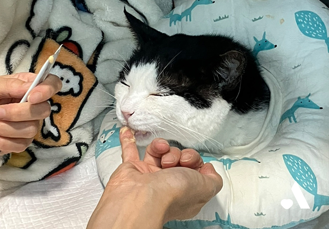 [건강소식] 레옹이의 건강소식 전해드립니다.