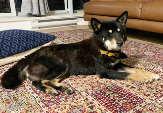 [해외입양] 캐나다 밴쿠버에서 가족을 만난 세인트