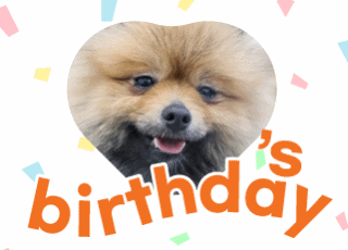 [입양행사] 오늘은 OO's birthday!