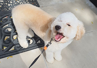 곤지암 해일이 늦은 3개월 후기입니다