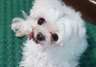 미미 2년차 후기입니다