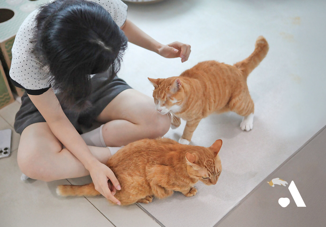 온캣의 여름방학, 다정했던 시간