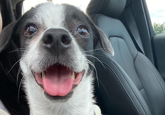 아키(하얀이)가 온지 1년이 됐어요!