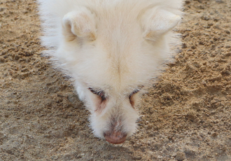 모래에 담긴 마음은- 