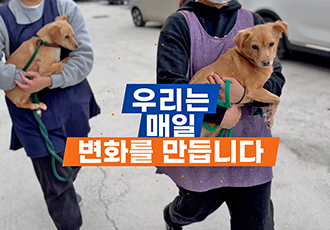 365일 매일 만나는 변화와 기적들, 온센터(ON DOG)의 2022!