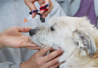 온독 미용 나눔교육! 친구들을 위한 나눔 시간을 가졌습니다. 🤝