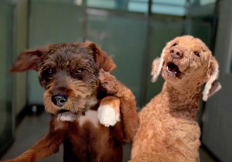 [오늘의 온센터] 우리는 같은 시간, 다른 속도의 하루를 보내요!