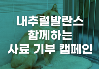 [동물자유연대X내추럴발란스] 사료 기부 캠페인에 함께해주세요!