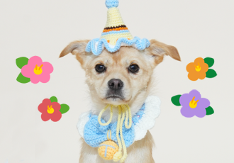 찰칵찰칵 📸 온센터 친구들의 프로필 촬영 현장!