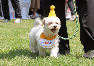 스타벅스와 함께한 오, 해피데이! 생일 축하해🎉