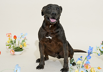 [오늘의 온센터] 다양한 감각으로 세상을 새롭게 느낄 수 있는 돌봄을 주기 위해!✨