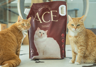 에이스벤토나이트의 따뜻한 후원