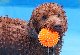여름의 온센터! 물놀이로 더위를 식혀요! 🌊