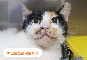 [쓰담쓰담] 살려달라고 집 앞까지 쫓아온 ‘미미’