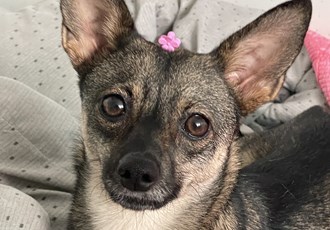 베티(베러)와 함께한 2년