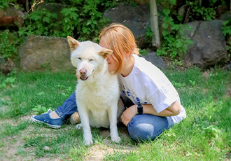 제 12회 비건페스티벌 '비건잔치'에서 만나요🌱