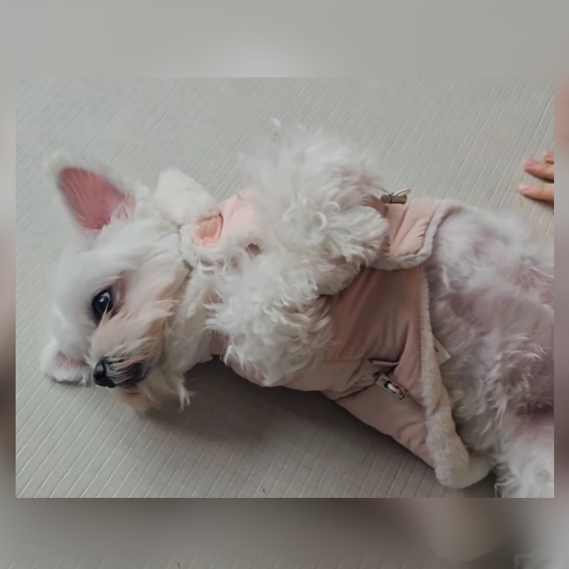 윤찐빵 팬분의 후원