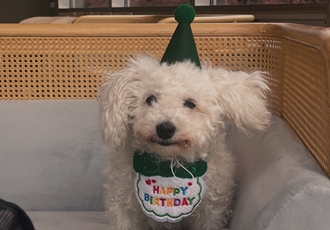 [임시보호] 보령-99, 동키와의 임시보호를 종료합니다. 하남이 임종까지보호 시작합니다.