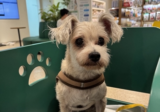 진이(바비) 2025 인사드려요~ 