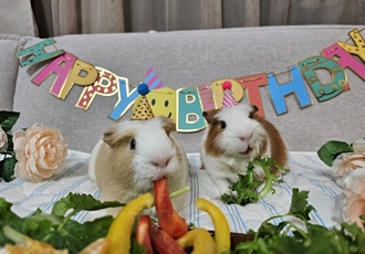 [마론크림] 5주년 생일파티