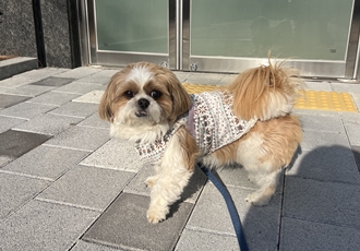 천진이 3년차~