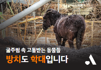 [굶주림 속 고통받는 동물들] 방치도 학대입니다