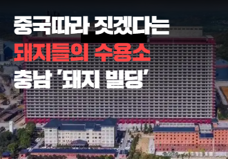 중국 따라 짓겠다는 돼지들의 수용소, 충남 ‘돼지 빌딩’