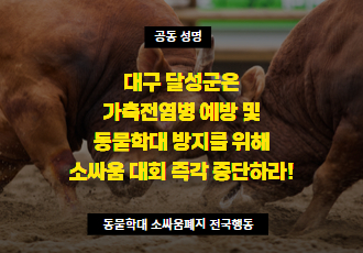 [공동 성명] 대구 달성군은 가축전염병 확산 및 동물학대 방지를 위해 소싸움 대회 즉각 중단하라!