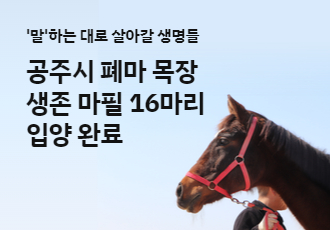 공주시 폐마 목장 생존 마필 16마리 입양 완료