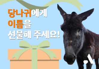 "○○아, 이젠 혼자가 아니야" 당나귀에게 이름을 선물해 주세요!