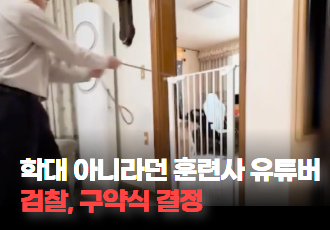 [동물 학대] “훈련일 뿐, 학대가 아니다” 주장한 훈련사 유튜버, 구약식 결정