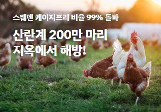 스웨덴 케이지프리 비율 99% 돌파, 산란계 200만 마리 지옥에서 해방!