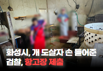 [동물 학대] 화성시, 개 도살자 손을 들어준 검찰, 생명 경시한 결정에 항고장 제출