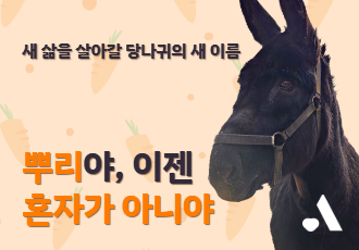 [새 삶을 살아갈 당나귀의 새 이름] 뿌리야, 이젠 혼자가 아니야