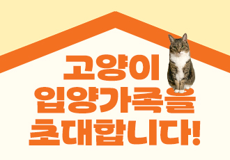 [신청마감]💌동물자유연대 고양이 입양가족을 초대합니다!🐈 <온캣에 온가족>