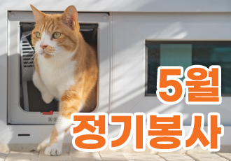 [봉사/온캣] 5월 정기봉사자를 모집합니다!🧡