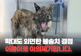 [동물 학대] 학대도 외면한 불송치 결정, ‘이룸이’로 이의제기합니다.
