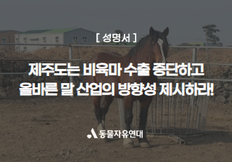 [공동성명]제주도는 비육마 수출 중단하고 올바른 말 산업의 방향을 제시하라!