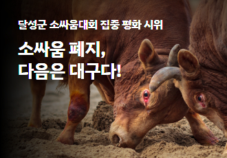 [공동 성명] 구제역이 완전히 종료되지도 않은 채 소싸움대회 강행하는 지방자치단체를 강력히 규탄한다!