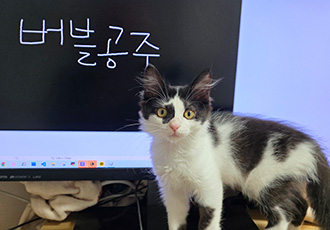 버블이(점박이)와의 한 달 후기!