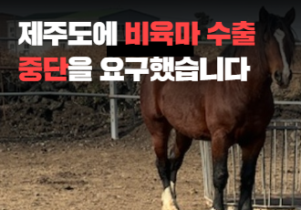 제주도에 비육마 수출 중단을 요구했습니다