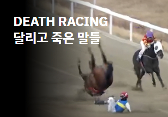 [DEATH RACING] 달리고 죽은 말들