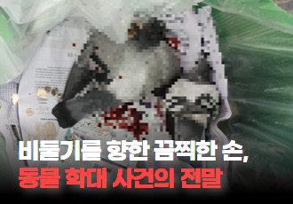 [동물 학대] 비둘기를 향한 끔찍한 손, 동물 학대 사건의 전말