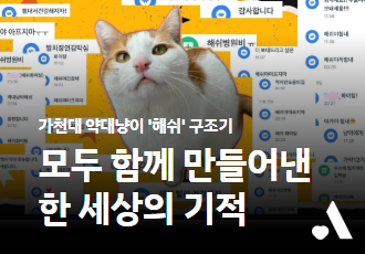 가천대 약대냥이 ‘해쉬’ 구조기, 모두 함께 만들어낸 한 세상의 기적