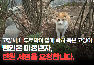 [탄원서명 요청] 고양시 일산서구, 미성년자로부터 잔인하게 죽임당한 고양이를 위해 긴급 탄원서명을 요청합니다. 