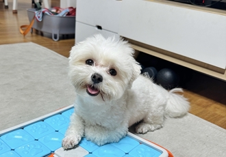 베베(말론)와 벌써 2년
