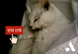 [민원요청] 신종펫숍 홍보에 이용당하지 않도록! 내가 사는 지역에 민원을 넣어주세요!