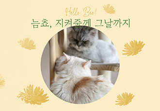 늠늠회장과 쵸쵸베비, 이제 우리 한가족이에요!