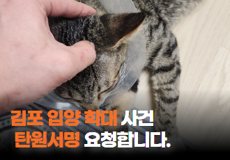 [동물 학대] 김포시 입양 고양이 연쇄 사망 사건, 탄원서명 요청합니다.